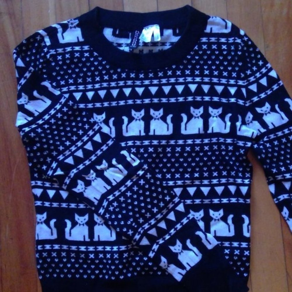 Sweater (fits an XS)